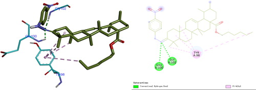 Figure 3. Binding modes of compound II6 with NF-κB in 3D and 2D diagram. The H-bond interactions with compounds are shown in green, and alkyl-bonds are shown in pink.