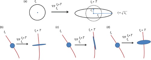 Fig. 2  (a) Illustration of the deformation of a unit circle between t 0 and t 0+T; r 1 and r 2 represents the stretching in the lowest and the largest stretching directions, respectively. Schematic representation of the effects of (b) normal repulsion (incompressible case), (c) shear (incompressible case) and (d) divergence-dominated (compressible case) FTLE ridges on their close neighbourhood.