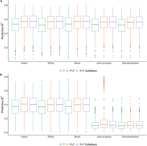 Figure 2. Simulation study. Prediction R2 of methylation risk scores (MRS) estimated with pruning and thresholding + Co-Methylation with genomic CpG Background (P+T CoMeBack), P+T and thresholding (T) approach across different racial groups and among multi-ancestry populations. For each simulation, the discovery cohort was repeatedly and randomly split into a training set comprising 762 Indians and a testing set comprising 136 people of each ancestry group. The proportion of causal CpGs located in co-methylation regions (CMR) is 70% and the proportion of phenotype variance explained by DNA methylation (and ancestry) is 80%. Results are shown for the prediction of simulated phenotypes (a) without an influence of ancestry and (b) influenced by ancestry. Joint-analysis refers to MRS analyses of all participants pooled from all ancestry groups and standardization refers to standardizing MRS within each ancestry group and then merging all participants before analyses. Each box represents the distribution of prediction accuracy across 1000 simulations, where the central mark is the median and the edges of the box are the 25th and 75th percentiles.