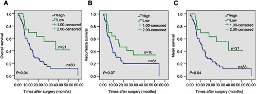 Figure 3 Kaplan–Meier survival curves illustrating the significance of ERO1A in CCA. (A) Overall survival of patients with high and low ERO1A expression. (B) Recurrence-free survival of patients with high and low ERO1A expression. (C) Mean survival of patients with high and low ERO1A expression.