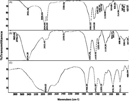 Figure 6. FTIR of (A) nanoprobe; (B) chelator; (C) oleic acid.