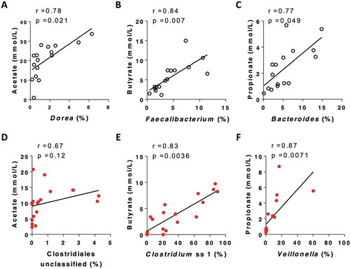 Figure 3. Representative taxa that were most stongly correlated with SCFA concentration post fermentation for non-CF control (black) and CF (red) samples (Full data of correlation between taxa and SCFA is included in Supplementary Figure 3). P values were from spearman correltaion adjusted by Benjamini-Hochberg FDR procedure.