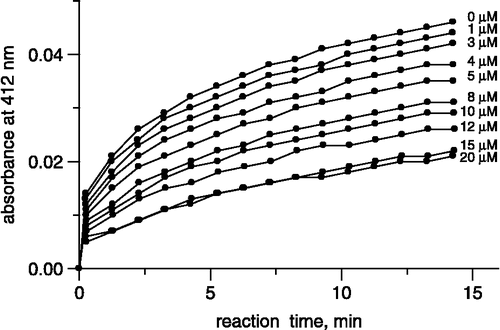 Figure 3 Spectroscopic time courses of reactions of DTNB with Ag+-modified urease, absorbance at 412 nm vs time.