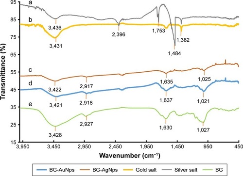 Figure 4 FTIR absorption spectra of silver salt (a), gold salt (b), BG-AgNps (c), BG-AuNps (d), and BG root powder (e).Abbreviations: FTIR, Fourier transform-infrared; BG, black ginseng; AgNps, silver nanoparticles; AuNps, gold nanoparticles.