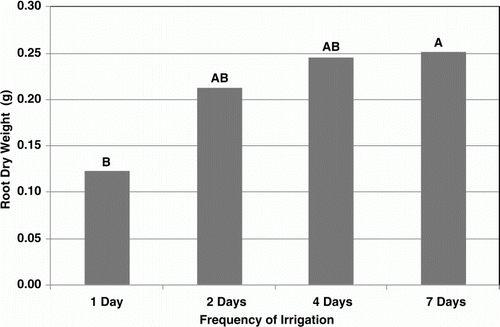 Figure 4.  Dry root mass below 12 cm of depth in a 7.5-cm diameter pot of creeping bentgrass under daily, 2-, 4-, and 7-day irrigation frequencies in the first of two experiments. Each bar represents an average of four replicates at two different irrigation rates 100% and 75% of open pan evaporation for a total of n=8. Bars with different letter are significantly different at alpha=0.05.