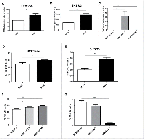 Figure 1. Overexpression of NmU correlates with increased TGFβ1 and PD-L1 levels. (A), (B), and (C), TGFβ1 levels were determined by ELISA in serum-free conditioned medium of HCC1954 and SKBR3 cell variants and expressed as pg TGFβ1 per mg total cell protein. (D) and F, HCC1954 cell variants were stained with APC-labeled anti-PD-L1, followed by FACS analysis in a FACSCanto II flow cytometer. (E) and (G), Same as in (D) for SKBR3 cell variants. Results represent averaged replicates from at least 3 independent experiments. *p < 0.05, **p < 0.01, ***p < 0.001.