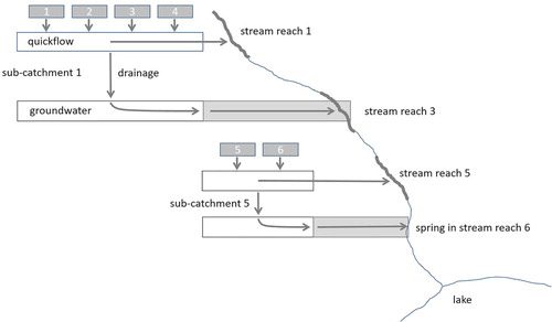 Figure 5. Schematic of the EPM model used to estimate groundwater age (Morgenstern et al. Citation2015) and to route water and nitrogen from each sub-catchment to the stream network or lake in ROTAN.