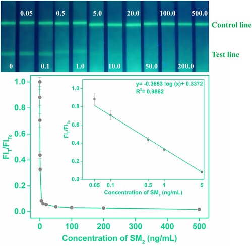 Figure 5. Standard calibration curves of the AIEFM-LFIA in honey were obtained by determining the FIT/FIT0 against the logarithm of the concentration of the SMZ.