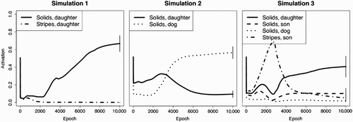Figure 4. Each of the three panels above displays activation levels for the target units in response to the inference pattern over the course of learning. The left panel illustrates results from the first simulation when the daughter walks the dog in both the Stripe and Solid families; the middle panel illustrates results from the second simulation when the model only learns about the Solid family; and the right panel illustrates results from the third simulation when the son walks the dog in the Stripe family and the daughter walks the dog in the Solid family.
