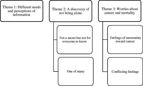Figure 1. Main themes with associated subthemes.