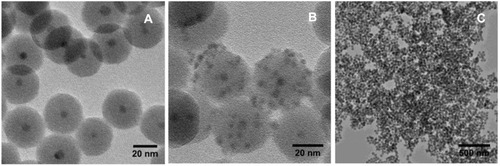 Figure 5 High-resolution TEM images of SPIO NPs incorporated into silica (A) and further coated by AgInS2/ZnS QDs (B) with low-resolution TEM image (C) of a large number of NPs than in (B).