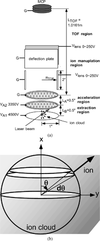 FIG. 6 (a) Schematic of TOF tube assembly from ion generation to its detection. (b) Geometrical configuration of ion cloud used in simulation. x denotes the direction toward MCP detector along the centerline of time of flight tube, while y direction is the horizontal direction.