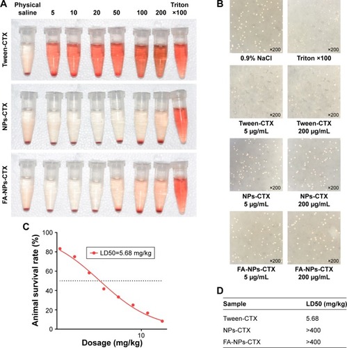 Figure 6 Hemolysis and toxicity evaluation of three formulations.Notes: (A) Photograph of hemolysis of red blood cells treated with Tween-CTX, NPs-CTX, and FA-NPs-CTX. (B) Optical image of hemolytic study of Tween-CTX, NPs-CTX, and FA-NPs-CTX. (C) LD50 evaluation of Tween-CTX. (D) LD50 values of Tween-CTX, NPs-CTX, and FA-NPs-CTX.Abbreviations: CTX, cabazitaxel; FA, folic acid; FA-NPs-CTX, FR-targeted nanoparticles loaded with cabazitaxel; FR, folate receptor; LD50, median lethal dose; NPs-CTX, cabazitaxel-loaded nanoparticles; Tween-CTX, CTX dissolved in a mixture of Tween 80 and 13% ethanol (w/w) at a ratio of 1:4 (v/v).