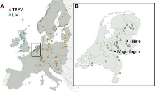 Figure 1. Tick-borne encephalitis virus (TBEV) European subtype and louping ill virus (LIV)in western Europe (A) and the Netherlands (B). (A) Blue circles indicate the presence of LIV, yellow triangles indicate the presence of TBEV European subtype. (B) Grey triangles indicate TBEV negative pools of Ixodes ricinus, yellow triangles indicate I. ricinus tick pools positive for TBEV. The tick sampling locations for this study are shown as Haarle and Wageningen. Data for tick surveillance in the Netherlands were reproduced from [Citation27]. TBEV/LIV locations can be found in Supplementary Table S2.