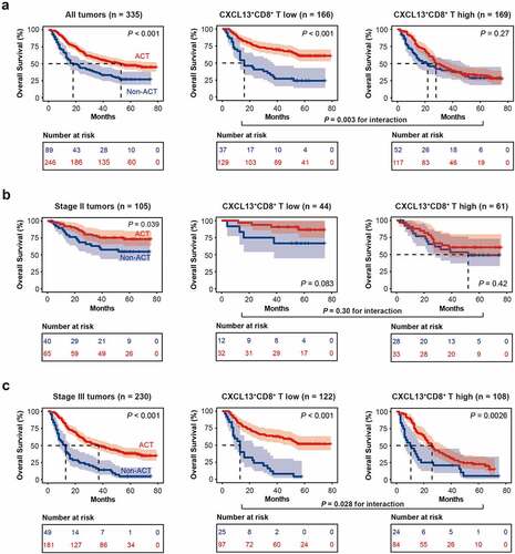 Figure 2. Intratumoral CXCL13+CD8+T cells indicate inferior responsiveness to fluorouracil-based adjuvant chemotherapy in gastric cancer. (a) Kaplan-Meier curves for TNM stage II/III patients with or without adjuvant chemotherapy (ACT) treatment in CXCL13+CD8+ T high/low subgroups. (b) Kaplan-Meier curves for TNM stage II patients with or without ACT treatment in CXCL13+CD8+ T high/low subgroups. (c) Kaplan-Meier curves for TNM stage III patients with or without ACT treatment in CXCL13+CD8+ T high/low subgroups. Log-rank test was performed for Kaplan-Meier curves