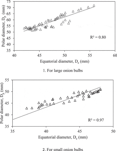 Figure 12. The relationship between De and Dp for large and small onion bulbs.