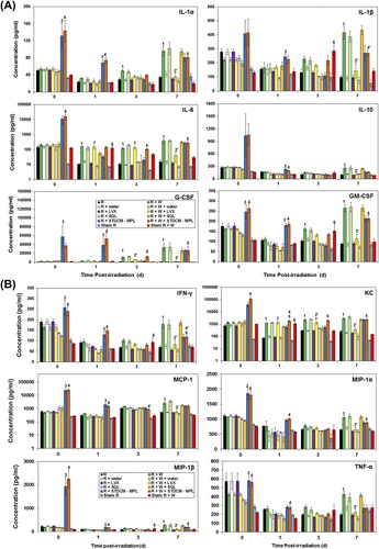 Figure 6. (A) Induction of cytokines in serum (IL-1α, IL-1β, IL-6, IL-10, G-CSF, and GM-CSF) by STDCM-MPL and LVX in irradiated and CI mice. Mice were given 9.75 Gy Co-60 gamma-radiation (or sham irradiated) and wounded within 1 h of irradiation. Mice received treatments of STDCM-MPL (100 μg, ip, 1 h after irradiation and wounding) and/or LVX (90 mg/kg q.d., po, days 1–7). Blood samples were collected (n = 5 mice per group per time point) at indicated time points (day 0 [4–5 h], 1, 3, 7 d after irradiation) and serum samples were analyzed by multiplex Luminex assay for cytokines (pg/ml ± SEM). Numbers above bars denote significant difference (p < 0.05) compared to respective controls: 1 signifies a statistically significant difference between groups R and R + W; 2, between R + W + water and R + W + LVX; 3, between R + SQL and R + STDCM-MPL; 4, between R + W + SQL and R + W + STDCM-MPL; 5, between R + STDCM-MPL and R + W + STDCM-MPL; 6, between Sham R and Sham R + W; and 7, between R + LVX and R + W + LVX. The apostrophe (’) indicates significant reduction of cytokine or chemokine production compared to the respective control. (B) Induction of cytokines in serum (IFN-γ, KC, MCP-1, MIP-1α, MIP-1β, and TNF-α) by STDCM-MPL and LVX in irradiated and CI mice. Mice were given 9.75 Gy Co-60 gamma-radiation (or sham irradiated) and wounded within 1 h of irradiation. Mice received treatments of STDCM-MPL (100 μg, ip, 1 h after irradiation and wounding) and/or LVX (90 mg/kg q.d., po, days 1–7). Blood samples were collected (n = 5 mice per group per time point) at indicated time points (day 0 [4–5 h], 1, 3, 7 d after irradiation) and serum samples were analyzed by multiplex Luminex assay for cytokines (pg/ml ± SEM). Numbers above bars denote significant difference (p < 0.05) compared to respective controls: 1 signifies a statistically significant difference between groups R and R + W; 2, between R + W + water and R + W + LVX; 3, between R + SQL and R + STDCM-MPL; 4, between R + W + SQL and R + W + STDCM-MPL; 5, between R + STDCM MPL and R + W + STDCM-MPL; 6, between Sham R and Sham R + W; and 7, between R + LVX and R + W + LVX. The apostrophe (’) indicates significant reduction of cytokine or chemokine production compared to the respective control.