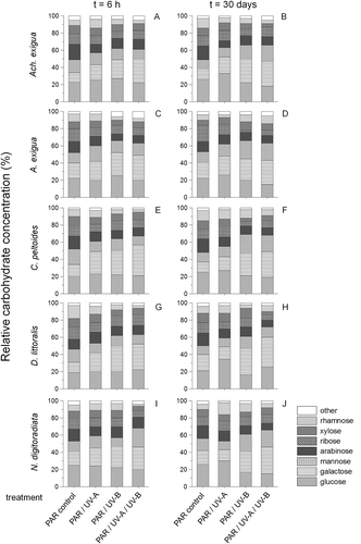 Fig. 3. Temporal variations in relative carbohydrate compositions of (A, B) Achnanthes exigua, (C, D) Amphora exigua, (E, F) Cocconeis peltoides, (G, H) Diploneis littoralis and (I, J) Navicula digitoradiata at PAR, PAR + UV-A, PAR + UV-B and PAR + UV-A + UV-B, during 6-h (A, C, E, G, I) and 30-day (B, D, F, H, J) experiments.