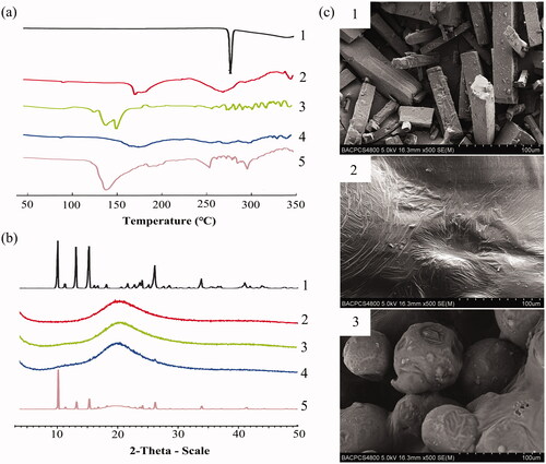 Figure 1. Characterization of BaPC-MD. (a) Differential scanning calorimetry ther-mograms of 1: pure baicalein; 2: BaPC; 3: PM-BaPC/PVP; 4: BaPC-MD; 5: a physical mixture of baicalein, phospholipids, and PVP-K30. (b) X-ray diffraction patterns of 1: pure baicalein; 2: BaPC; 3: PM-BaPC/PVP; 4: BaPC-MD; 5: a physical mixture of baicalein, phospholipids, and PVP-K30. (c) Scanning electron microscopic micrographs of 1: pure baicalein; 2: BaPC; 3: BaPC-MD.