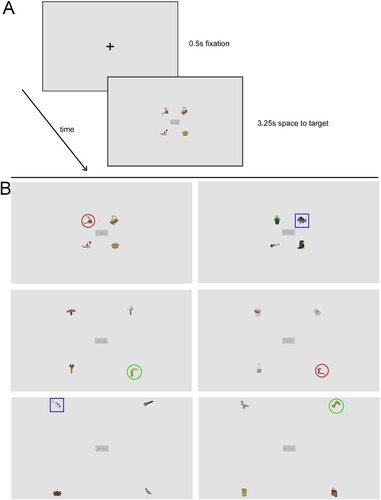 Figure 1. The top panel (A) shows the trial structure of the paradigm used. First, a fixation cross of 0.5s was shown, then the semantic decision task followed. Each trial was shown for 3.25s regardless of being a target or non-target word trial and the reaction of the participants. The task was presented in three blocks (distractors in the close, middle, far positions) and the blocks were randomized. The bottom panel (B) shows sample trials from both threatening and shape-matched groups in all three (top row: close, middle row: middle, bottom row: far) distance conditions. Threat distractors are marked with red circles, shape-matched nonthreatening ones are marked with green circles and visually dissimilar neutral control distractors are marked with blue rectangles.