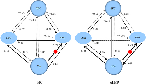 Figure 4 The winning model and the connectivity parameters for the two groups. The solid lines represent connectivity values greater than 0.1 Hz, the dotted lines represent the connectivity values below 0.1 Hz, and their thickness reflects the size of the value. The red round represents the significant group differences between cLBP and HC.