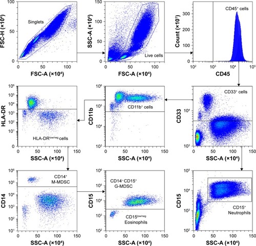 Figure 3 Flow cytometry gating strategy for isolating MDSCs.Notes: Leukocytes were selected as CD45+. M-MDSCs were identified based on the phenotype: CD33+/Hi, CD11b+, HLA-DR−/low, and CD14Hi. Identification of G-MDSCs was based on: CD33+/low, CD11b+, HLA-DR−, CD14−, and CD15+. Neutrophils were identified as CD33mid/low, CD15+.Abbreviations: FSC, forward scatter; G-MDSCs, granulocytic myeloid-derived suppressor cells; M-MDSCs, monocytic myeloid-derived suppressor cells; SSC, side scatter.