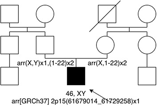 Figure 1 Genetic lineage of the proband’s family.