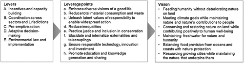 Figure 1. Levers and leverage points for pathways to realize biodiversity vision.