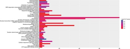 Figure 10 GO term enrichments of coexpression genes of ERCC8 in HBV-related HCC.Abbreviations: ERCC, excision repair cross-complementation; GO, Gene Ontology; HBV, hepatitis B virus; HCC, hepatocellular carcinoma.