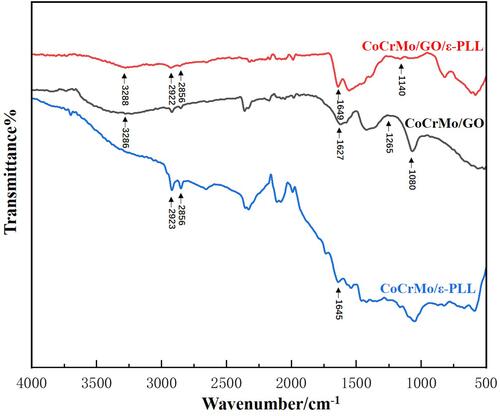 Figure 9 FTIR−ATR spectra of ε-PLL, GO, and GO/ε-PLL on CoCrMo alloy.