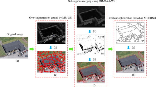 Figure 1. Proposed image segmentation framework. (a) Original image; (b) Gradient image using Sobel operator; (c) Segmentation result of watershed transform based on morphological reconstruction (MR-WS); (d) Adaptive morphological reconstruction (AMR) of (b); (e) Regional minimum image; (f) Segmentation result of MR-MAA-WS; (g) Contour prediction based on MDEDNet; (h) Final segmentation result.