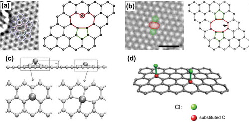 Figure 14. Configurations of (a) SV (5–9) [Citation214], (b) double vacancy [Citation214], (c) transition metal atoms adsorbed on single and double vacancies in a graphene sheet [Citation216] and (d) sp3 defects [Citation225] (reused with permissions from [214] Copyright © 2008, American Chemical Society, [50] Copyright © 2011, American Chemical Society, [216] Copyright ©2009 American Physical Society, and [225] © 2017 Elsevier Inc. All rights reserved.).