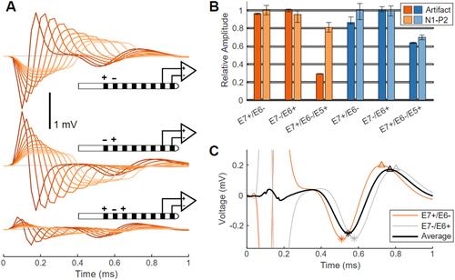 Figure 3 Artifact and ECAP variation with stimulating electrode configuration in sheep. (A) Average ECAPs from Sheep A elicited by bipolar stimulation (E7+/E6−, top traces; or E7−/E6+, middle traces), and by tripolar stimulation (E7+/E6−/E5+, bottom traces). Stimuli pulse widths are swept from 30 μs (darker lines) to 300 μs (lighter lines) in 30 μs steps. (B) Normalized ECAP amplitudes and stimulation artifacts for E7+/E6−, E7−/E6+, and E7+/E6−/E5+ stimulation are plotted versus pulse width as median and 10th–90th percentile range, for Sheep A (orange) and Sheep B (blue). (C) ECAPs recorded on E1/E0 in Sheep A in response to 30 us stimulation from E7+/E6− (orange) and E7−/E6+ (gray) as well as the average of both waveforms (black). Slight differences in peak locations (N1 (*), P2 (Δ)) are evident between the ECAPs elicited by the two bipolar configurations.