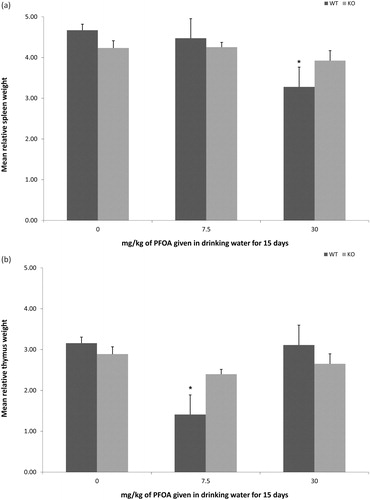 Figure 2. Lymphoid organ weights of mice exposed to PFOA via drinking water. Mice were exposed for 15 days, and organs collected 1 day after exposure ended. Data represent mean ± standard deviation. (a) Relative spleen weights of wild-type C57BL/6-Tac (WT) or PPARα KO B6.129S4-Ppartm1GonzN12 mice (n = 6/strain/dose). (b) Relative thymus weights of wild-type C57BL/6-Tac (WT) or PPARα KO B6.129S4-Ppartm1GonzN12 mice. At each dose level, lymphoid organ weights did not differ between WT or PPARα KO mice (n = 6/strain/dose). *Statistical (p < 0.05) difference between treated group and appropriate 0 mg PFOA/kg group.