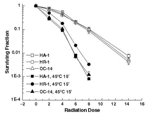 Figure 3. Heat induced radiosensitization at 45°C. Control (open symbols) and heated (45°C, 15 min) (solid symbols), HA-1 (squares), HR-1 (circles) and OC-14 (triangles) cells were exposed to increasing doses of ionizing radiation and clonogenic survival was determined. Heating, irradiation and clonogenic survival assays were performed as described in Materials and methods. The figure represents the average of four independent experiments ±1 SEM.
