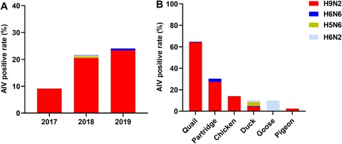 Figure 1. Subtype proportions and host species distributions of AIVs in Guangdong province, China. (A) AIV-positive rates between 2017 and 2019. (B) Proportions of AIV subtypes in samples from different poultry species. The numbers of oropharyngeal swabs collected from chickens, quails, ducks, pigeons, partridges, and geese were 1162, 201, 163, 79, 33, and 10, respectively.