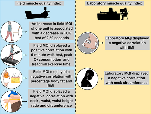 Figure 1 Summary of main associations of differents MQI with TUG performance, aerobic capacity, and obesity indices.