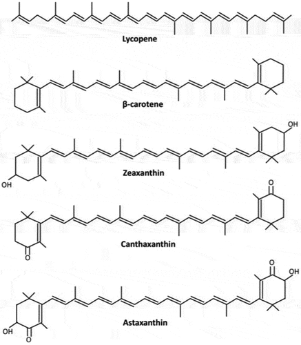 Figure 2. Chemical structures of common carotenoids[Citation60].