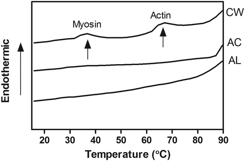 FIGURE 2 Differential scanning calorimetry thermogram of minced bighead carp muscles prepared by different treatments. CW: conventional washing method, AC: acid-aided processing, AL: alkali-aided processing.