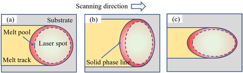 Figure 8. Schematics of melt pool geometries under three SLIPs: (a) C-SGP, (b) TE-GP, and (c) LE-GP.