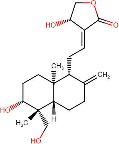 Figure 1 The chemical structure of andrographolide.