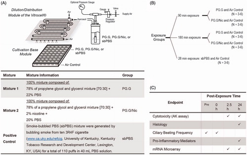 Figure 9. Experimental design to test the nebulized aerosols generated from the various test mixtures. A, An illustration of the generation of aerosols from the various test items using the Collison nebulizer and of the exposure set-up using the Vitrocell exposure system. The 3D bronchial epithelial cultures (reconstituted from one donor) were exposed to three different aerosols generated by nebulizing PG.G, PG.G/Nic, or sbPBS mixtures. B, The experimental groups. C, Various endpoints measured within the third-layer assessment. Abbreviations: AK: adenylate kinase; Nic: nicotine; PBS: phosphate-buffered saline; PG.G: propylene glycol and glycerol; PG.G/Nic: propylene glycol, glycerol, and nicotine; sbPBS: smoke-bubbled PBS.