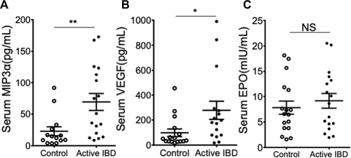 Figure 2 Serum hypoxia marker levels in pediatric IBD colitis. Serum samples from healthy control (n=17) and pediatric subjects with active IBD colitis (n=17) were used to quantify MIP-3α (panel A), VEGF (panel B), or EPO (panel C) protein by electrochemiluminescent-based ELISA and presented as mean±SEM pg/mL where * is p<0.05 and ** is p<0.01.
