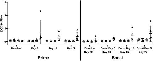Figure 7. T cell activation status was measured in PBMC collected and isolated on Days -1, 8, 15, 22, 49, 58, 65 and 72. After ex vivo re-stimulation of the PBMC with the vaccine (with [filled] and without [empty] 0.3 × 106 pfu MVA vaccine overnight), CD8 T-cells had increased expression levels of IFN-γ at all timepoints analyzed after the first vaccination when compared to their respective mean baseline levels and vehicle control changes. Circles are control treated and triangles are MVA vaccine treated.