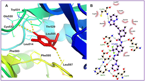 Figure 9 (A) Minimum energy conformation of the docked thymoquinone (shown as red sticks) in the binding pocket of BRAF protein showing hydrogen bond interaction as yellow lines. (B) Co-crystallized inhibitor of the BRAF protein (PDB ID: 6P7G), 3-[(imidazo[1,2-b] pyridazin-3-yl)ethynyl]-4-methyl-N-[4-({[2-(morpholin-4-yl)ethyl]amino}methyl)-3-(trifluoromethyl)phenyl]benzamide, occupying the binding site.