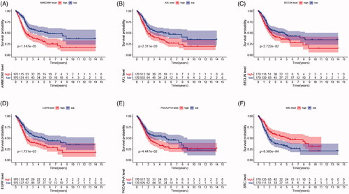 Figure 2. Survival analysis indicated significantly prognostic role of BECLIN, EGFR, PKCALPHA, ANNEXIN1, AXL, SRC proteins expression. (A–E) High expression of BECLIN, EGFR, PKCALPHA, ANNEXIN1 and AXL significantly correlated with worse outcomes in BCa patients (p < .05). (F) Down-regulated of SRC was markedly related with poor prognosis (p < .001).