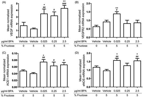 Figure 1. In vivo effects of long-term BPA exposure on VEGF, ACE, eNOS, and VEGFR2 mRNA expressions in rat cardiac tissue. A: Rats exposed to 0.025 μg/mL, 0.25 μg/mL, and 2.5 μg/mL BPA showed increased mRNA expression of VEGF compared to fructose controls and water controls. B: VEGFR2 mRNA expression was increased in rats exposed to 0.025 μg/mL BPA compared to fructose controls and water controls. C: ACE1 mRNA expression was increased in rats exposed to 0.025 μg/mL, 0.25 μg/mL, and 2.5 μg/mL compared to fructose controls and in rats exposed to 0.025 μg/mL BPA compared to water controls. D: Rats exposed to 0.025 μg/mL and 2.5 μg/mL BPA showed increased eNOS mRNA expression compared to fructose controls and water controls. Each bar represents mean normalized mRNA expression ± SEM of four animals, each analyzed in three replicates. #P < .05, ##P < .01, ###P < .001, compared to fructose controls. *P < .05, **P < .01, ***P < .001, compared to water controls.