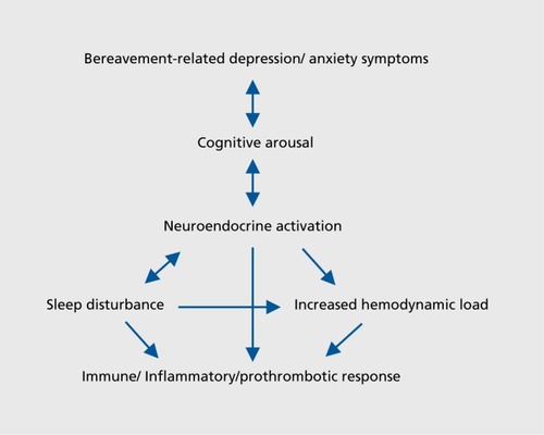 Figure 5. Representation of the complex interactions between psychological and physiological correlates of bereavement.
