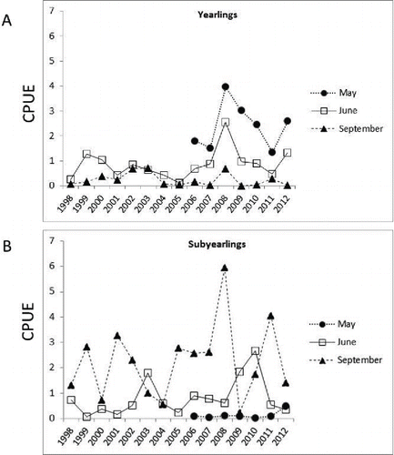 FIGURE 2. Chinook Salmon CPUE (fish/km trawled) for (A) yearlings and (B) subyearlings sampled along the Washington and Oregon coasts in May (2006–2012), June (1998–2012), and September (1998–2012).