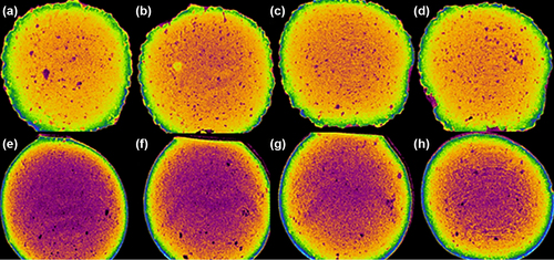 Figure 5. Micro-CT images of PB-SA microcapsules (a–d) and PB-CA-SA microcapsules (e–h). The visible purple color in PB-CA-SA (e–h) reflects a greater density of the core of microcapsules caused by incorporation of CA into the matrix.